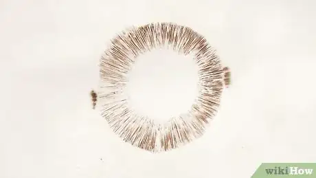 Imagen titulada Make a Mushroom Spore Print Step 5