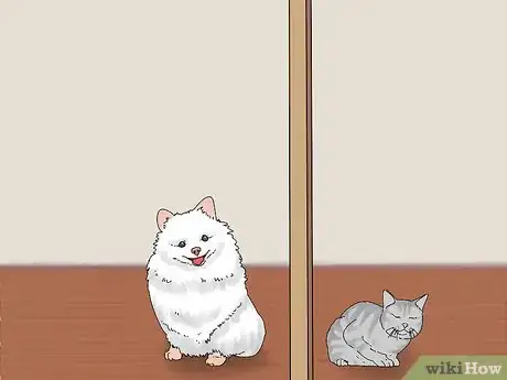 Imagen titulada Make a Cat and Dog Get Along Step 3