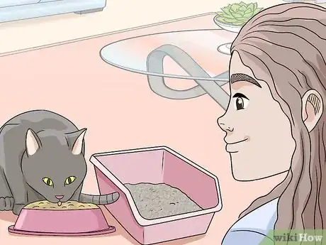 Imagen titulada Feed a Diabetic Cat Step 12