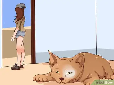 Imagen titulada Prevent Cat Allergies Step 11