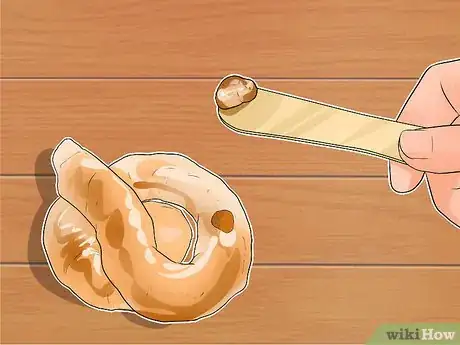 Imagen titulada Diagnose Whipworms in Dogs Step 4