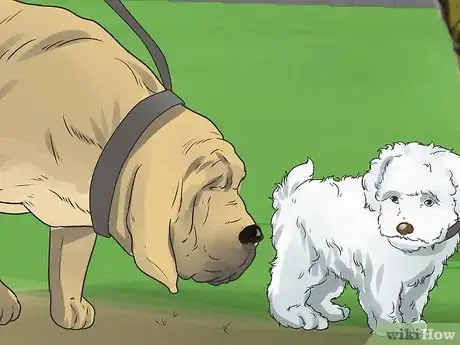 Imagen titulada Introduce a New Puppy Step 19