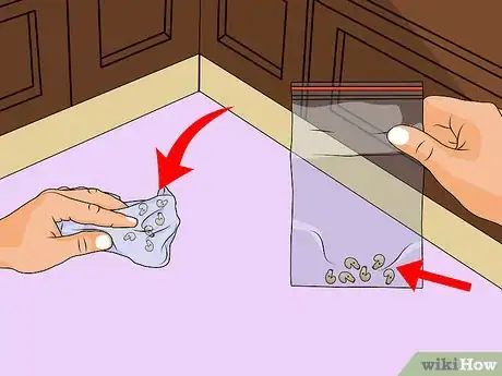 Imagen titulada Get Rid of a Maggot Infestation Step 11