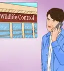 quitar las púas de un puercoespín
