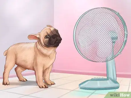 Imagen titulada Live with a Pug Dog Step 16