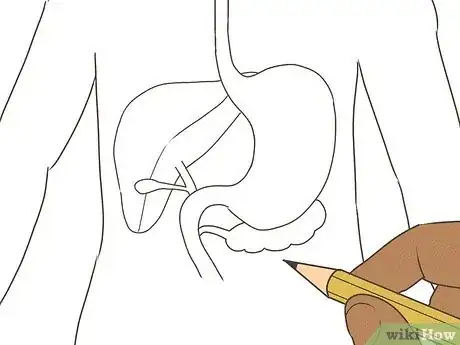 Imagen titulada Draw a Model of the Digestive System Step 7