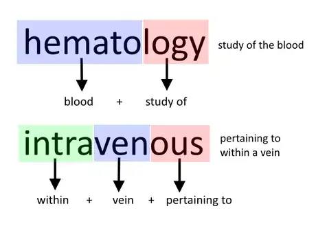Imagen titulada Understand_Medical_Terminolgy_Step_4.png