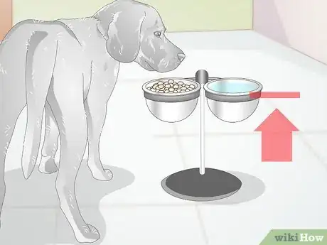 Imagen titulada Choose Dog Food Bowls Step 3