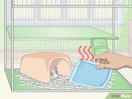 Imagen titulada Keep Guinea Pigs Warm Step 7