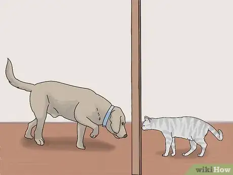 Imagen titulada Make a Cat and Dog Get Along Step 4
