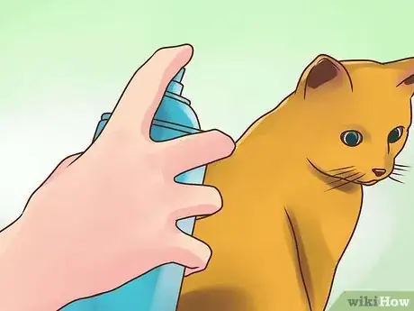 Imagen titulada Treat Lice in Cats Step 5