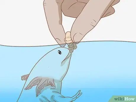 Imagen titulada Care for an Axolotl Step 6