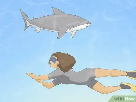 Imagen titulada Get over Your Fear of Sharks Step 21