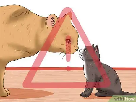 Imagen titulada Diagnose Feline Panleukopenia (Distemper) Step 11
