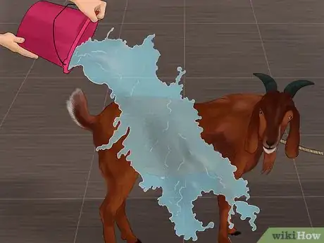 Imagen titulada Wash a Goat Step 6