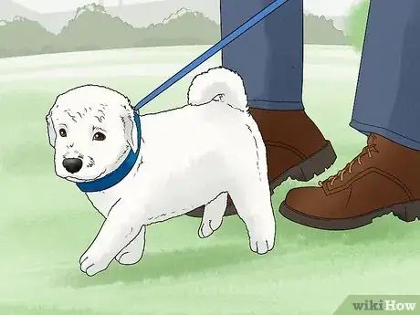 Imagen titulada Train a Dog Step 2