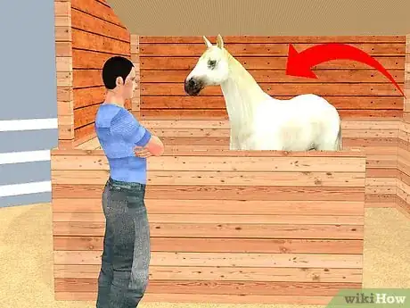 Imagen titulada Look After a Horse Step 1