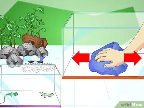 Imagen titulada Care for Your Lizard Step 12