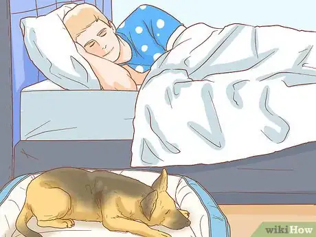 Imagen titulada Stop Your Dog from Waking You Up at Night Step 12