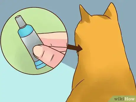 Imagen titulada Treat Lice in Cats Step 7