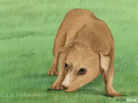 Imagen titulada Recognize Fear in Dogs Step 9