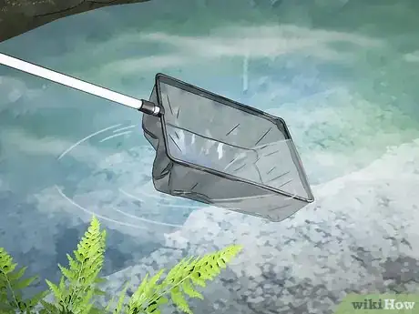 Imagen titulada Get Rid of Algae in Ponds Step 3