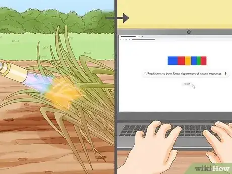 Imagen titulada Harvest Sugar Cane Step 11
