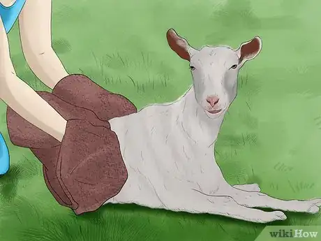 Imagen titulada Wash a Goat Step 9