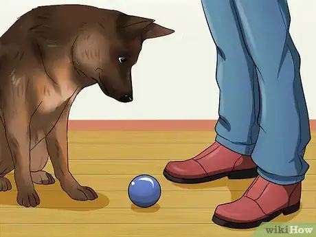 Imagen titulada Train Dogs Not to Bark Step 3