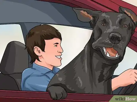 Imagen titulada Teach a Dog to Smile Step 3