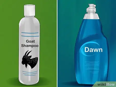 Imagen titulada Wash a Goat Step 1