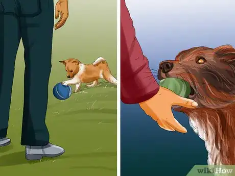 Imagen titulada Introduce a Puppy to a Dog Step 23