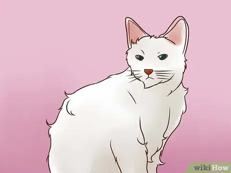 Imagen titulada Treat Lice in Cats Step 9