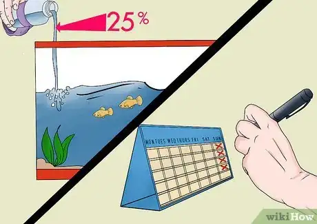 Imagen titulada Breed and Care for Platies Step 11