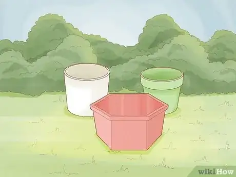 Imagen titulada Grow a Tomato Plant Step 3