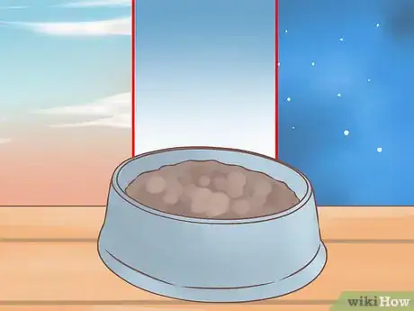 Imagen titulada Care for Your Chihuahua Puppy Step 2