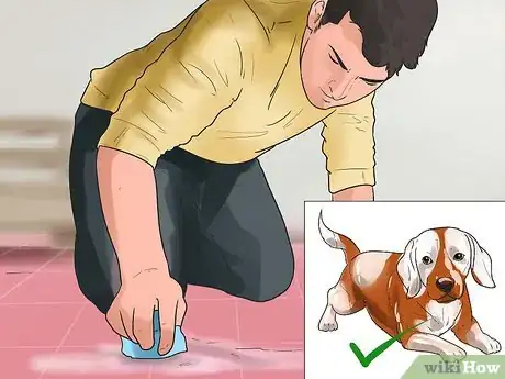 Imagen titulada Take Care of a Beagle Puppy Step 2