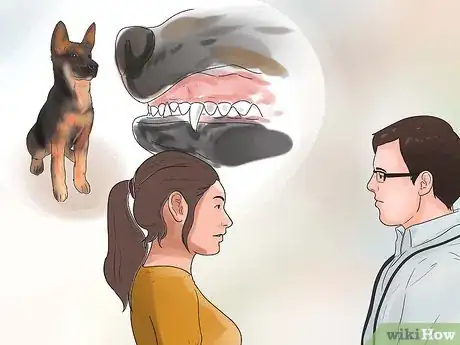 Imagen titulada Tape Up Stubborn German Shepherd Puppy Ears Step 12