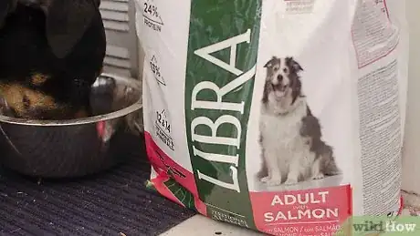 Imagen titulada Make Your Dog Smell Better Step 13