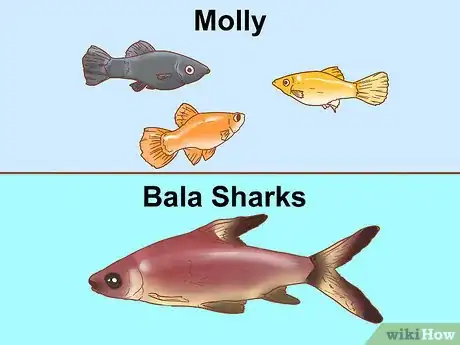 Imagen titulada Know How Many Fish You Can Place in a Fish Tank Step 5