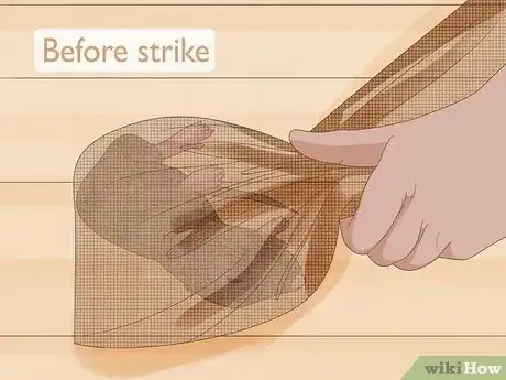 Imagen titulada Humanely Kill a Rodent Step 8