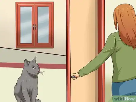 Imagen titulada Catch a Cat Step 6