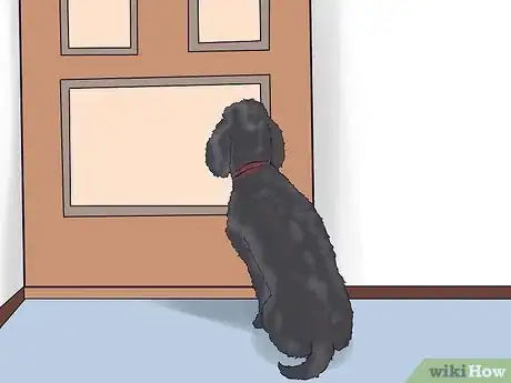 Imagen titulada Care for a Toy Poodle Step 26