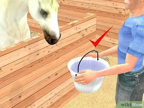 Imagen titulada Look After a Horse Step 5