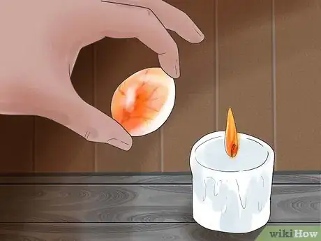 Imagen titulada Breed and Incubate Pheasants Step 11