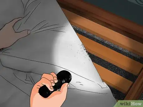 Imagen titulada Get Rid of Bed Bug Stains Step 1