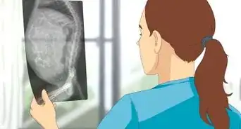 saber si una cabra está preñada