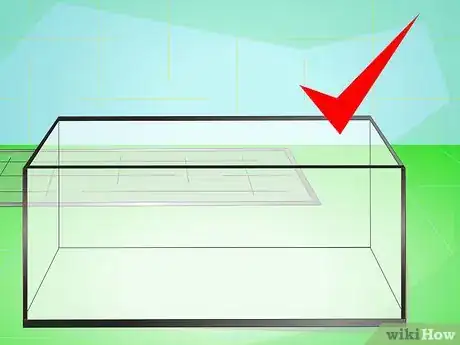 Imagen titulada Make a Millipede Habitat Step 1