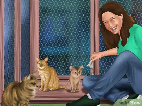 Imagen titulada Help Stop Cruelty Towards Animals Step 12