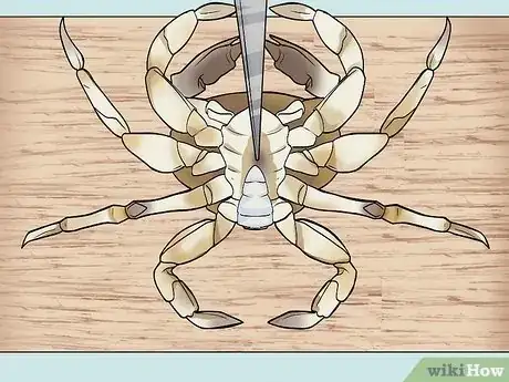 Imagen titulada Cook a Crab Step 3